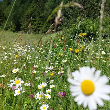 Bichlhof