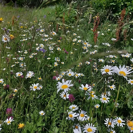 아파트 Bichlhof 니더타이